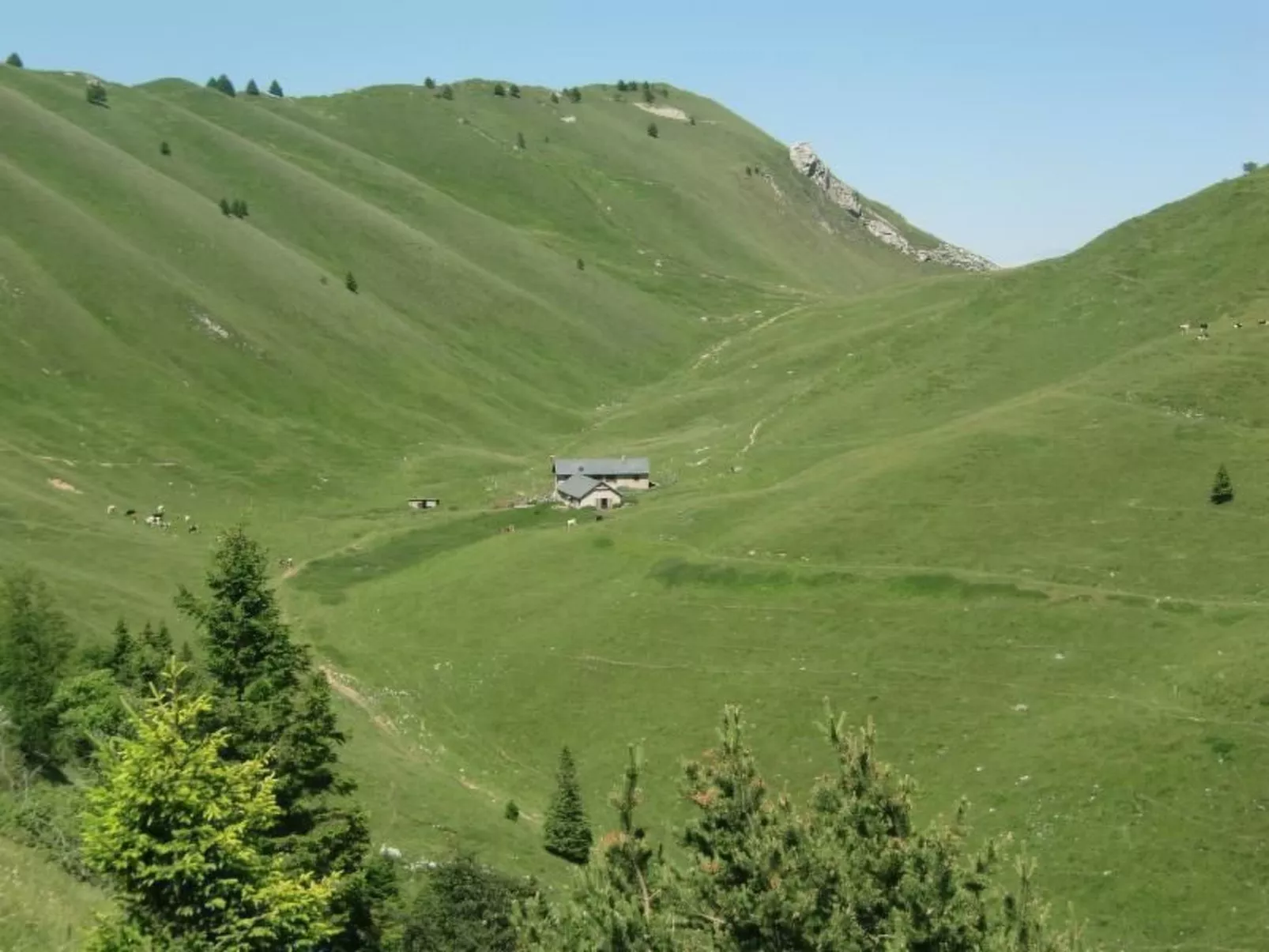 Freistehendes Haus mit eingezäuntem Privatgarten