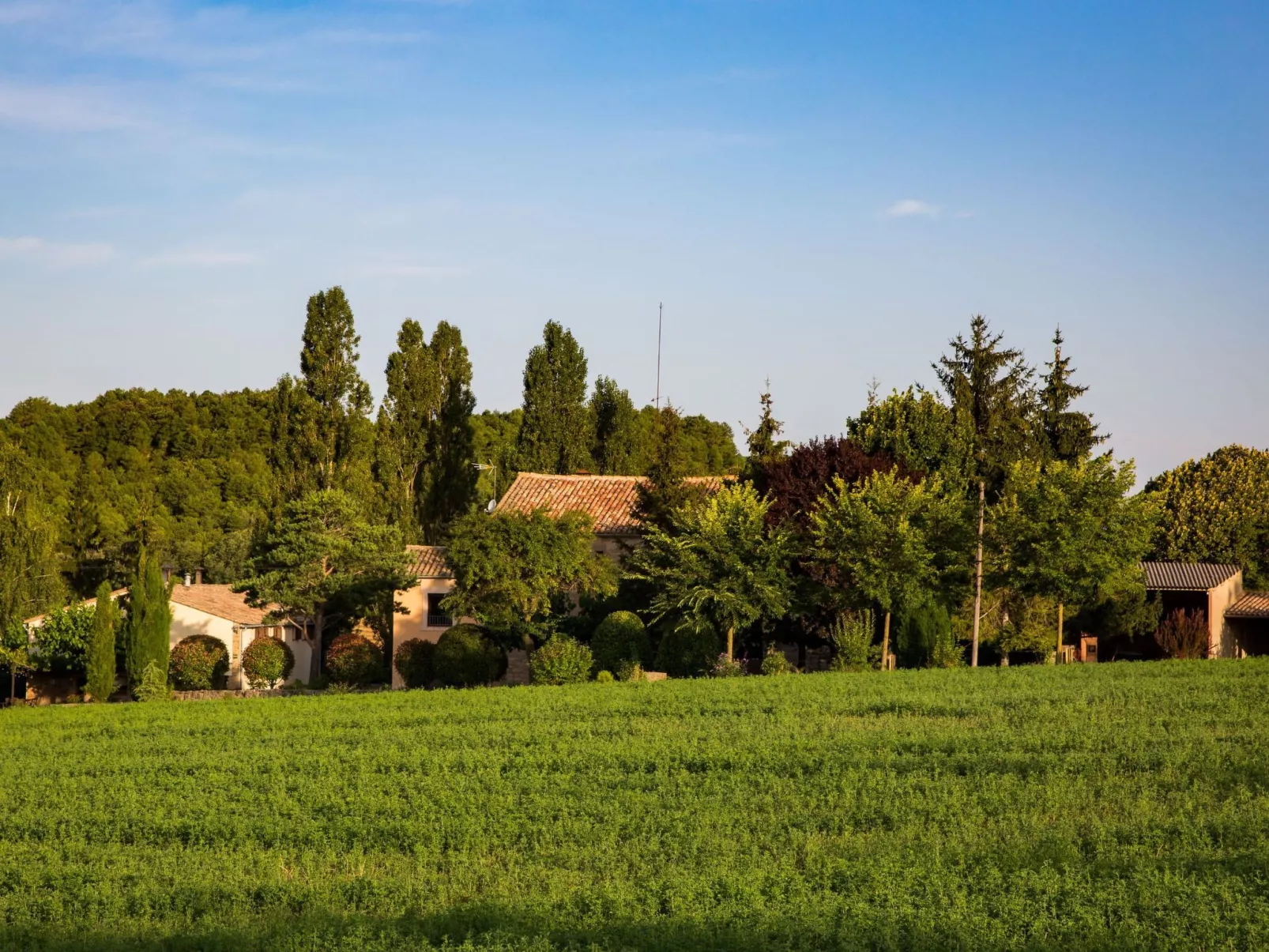 Wohnung "El Corral" mit Terrasse-Draußen