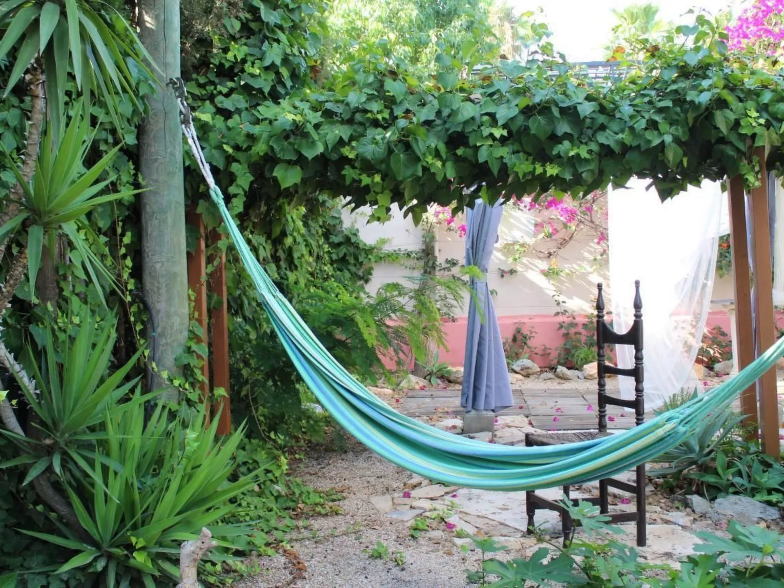 Casa Dolores-Image-tags.info