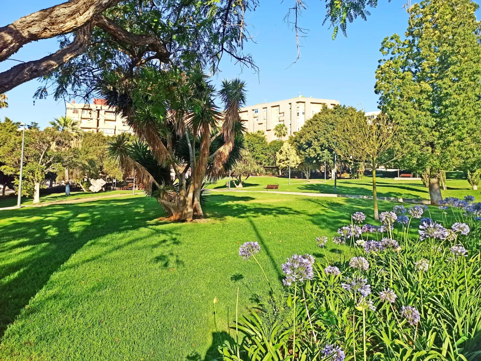 City Loft Santa Cruz