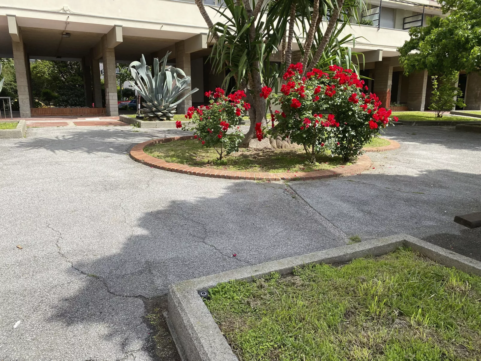 Wohnung CapoMare 100 Meter vom Meer entfernt-Outside