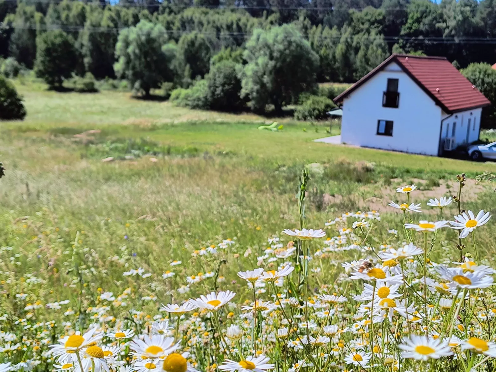 Vogelecke - abseits des Trubels und der Hektik-Draußen