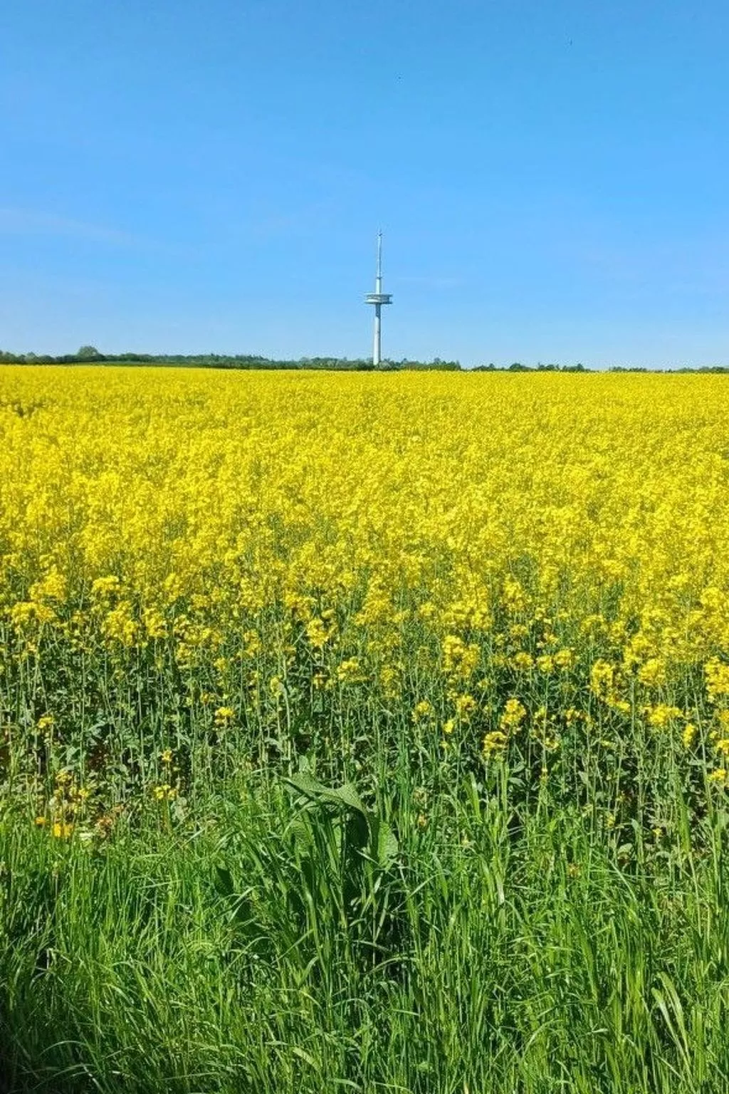 Möllis Ferienwohnung-Draußen