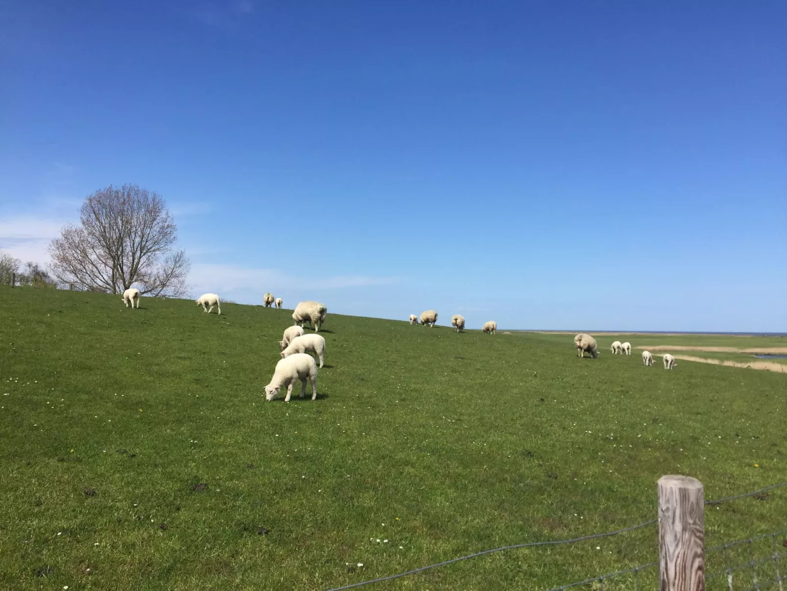 Nettes Ferienhaus in Fedderwardersiel-Draußen