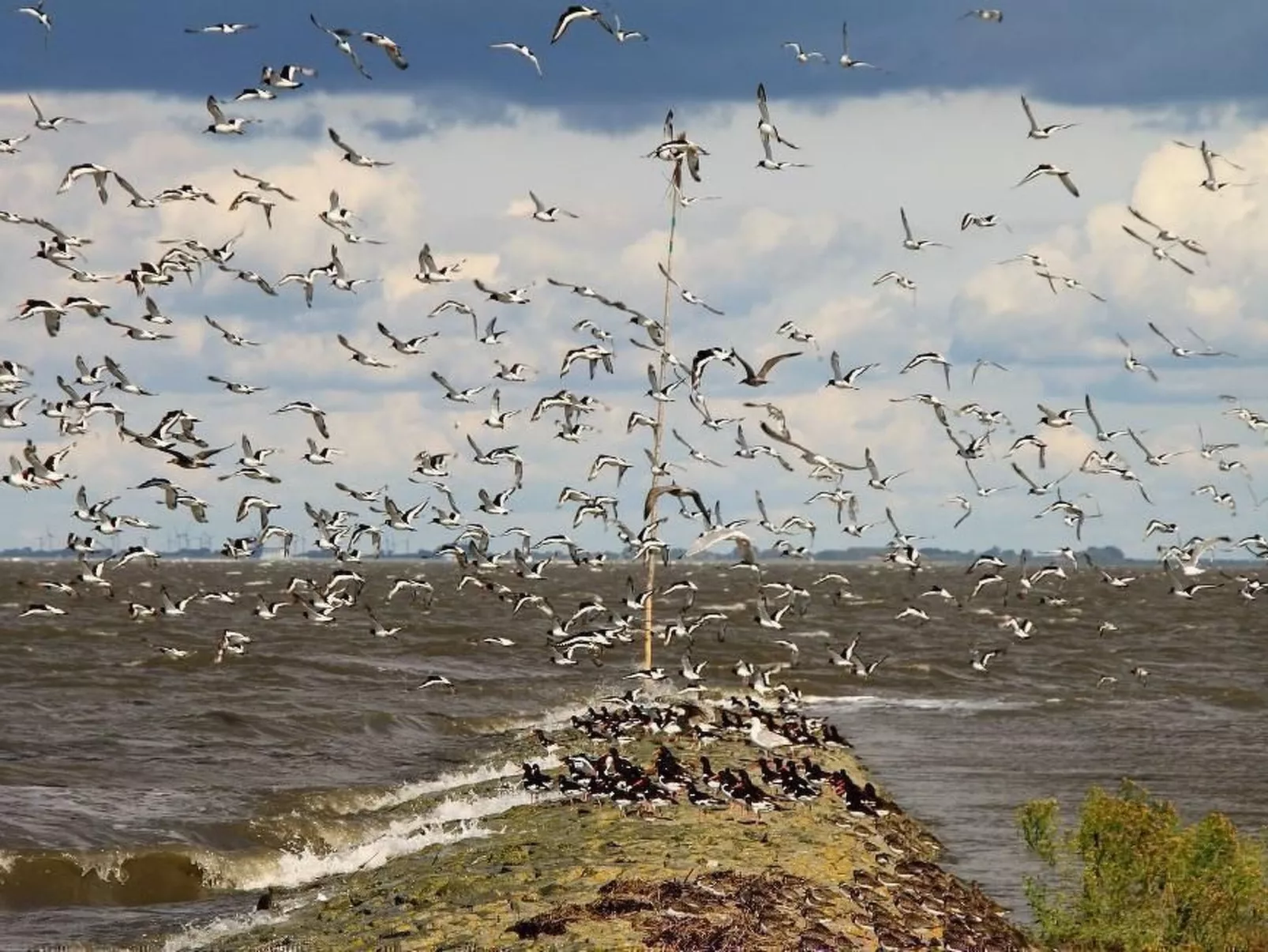 Schöpshuus-Draußen