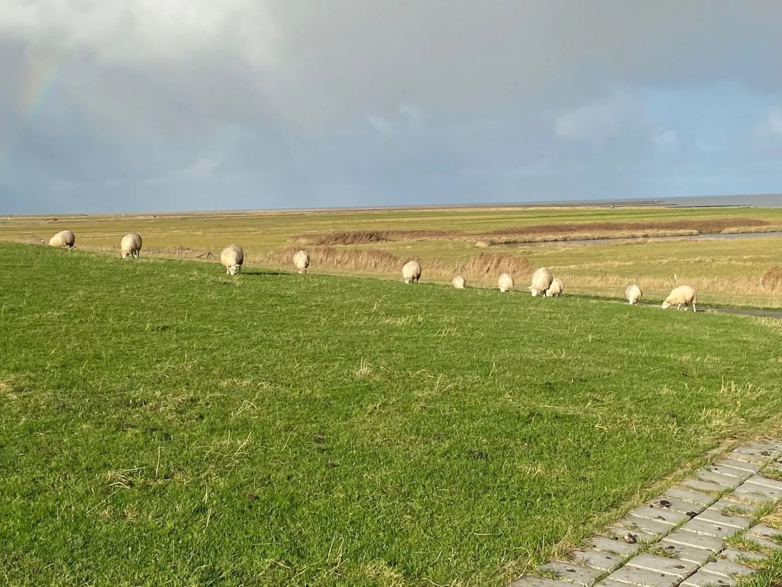 In Fedderwardersiel mit Garten-Draußen