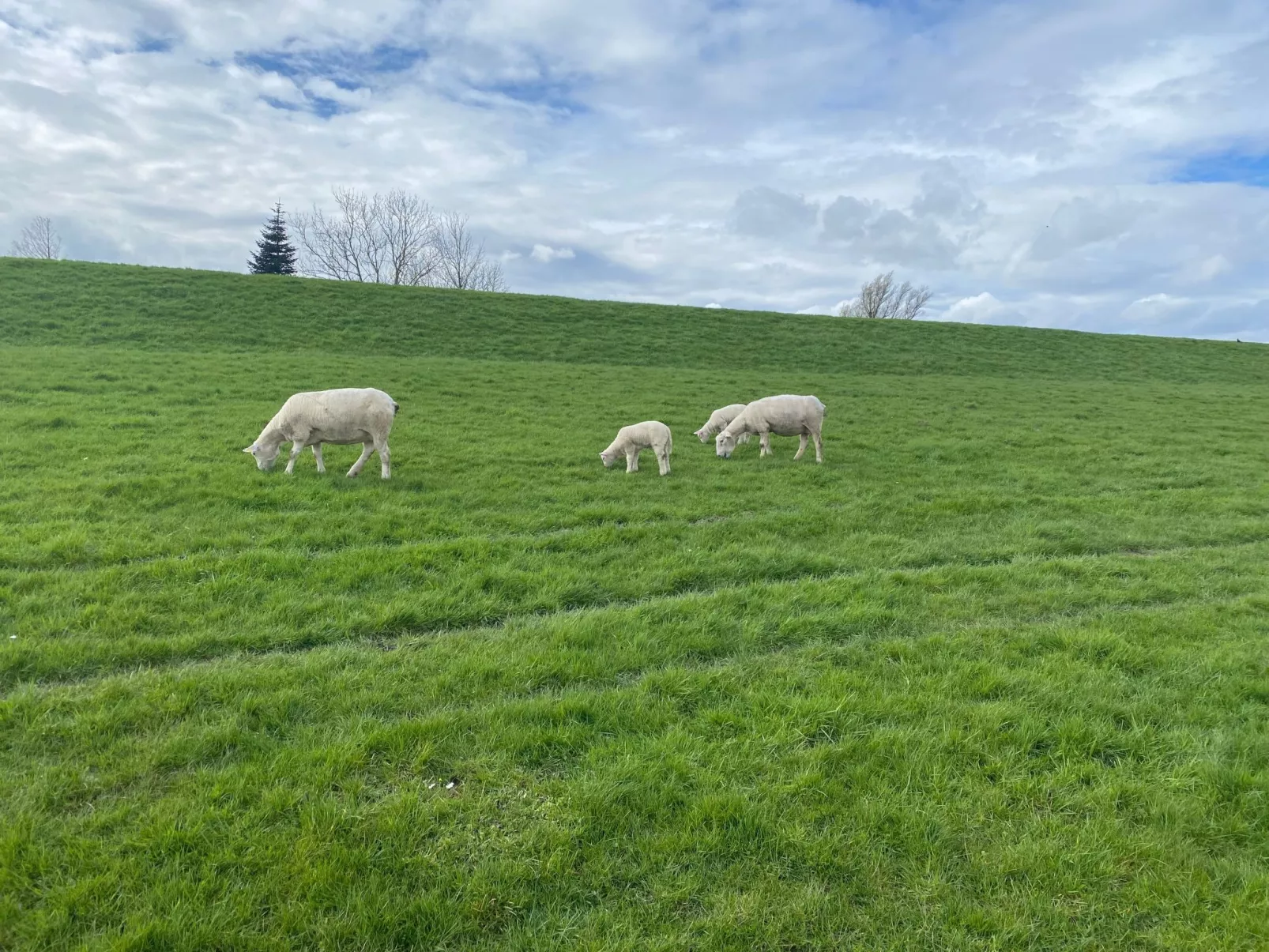 Huus in Hoddersdiek 27 A