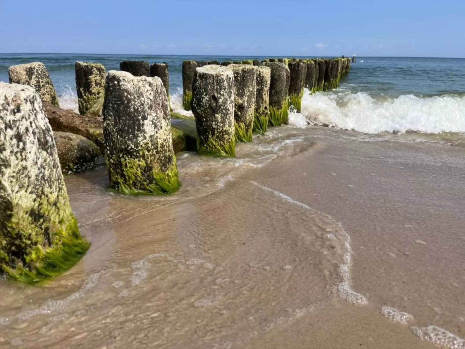 Komfortable Wohnung mit Garten, in der Nähe des Meeres