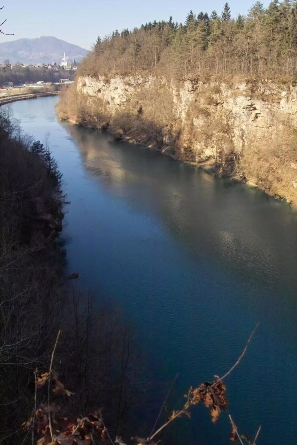 Kleines Haus am Rande des Waldes