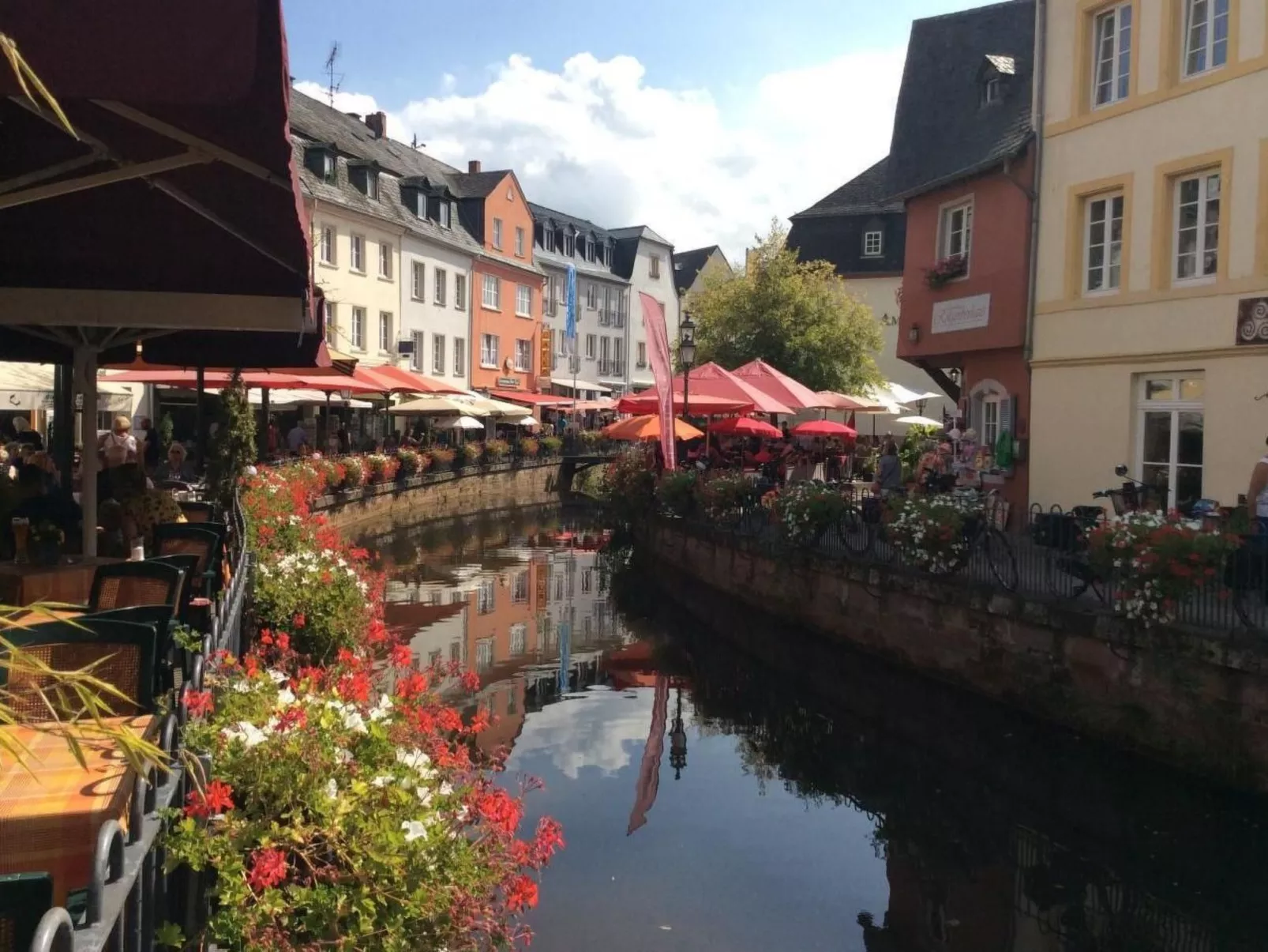 Einzigartige Lage direkt Mosel und Radweg.
