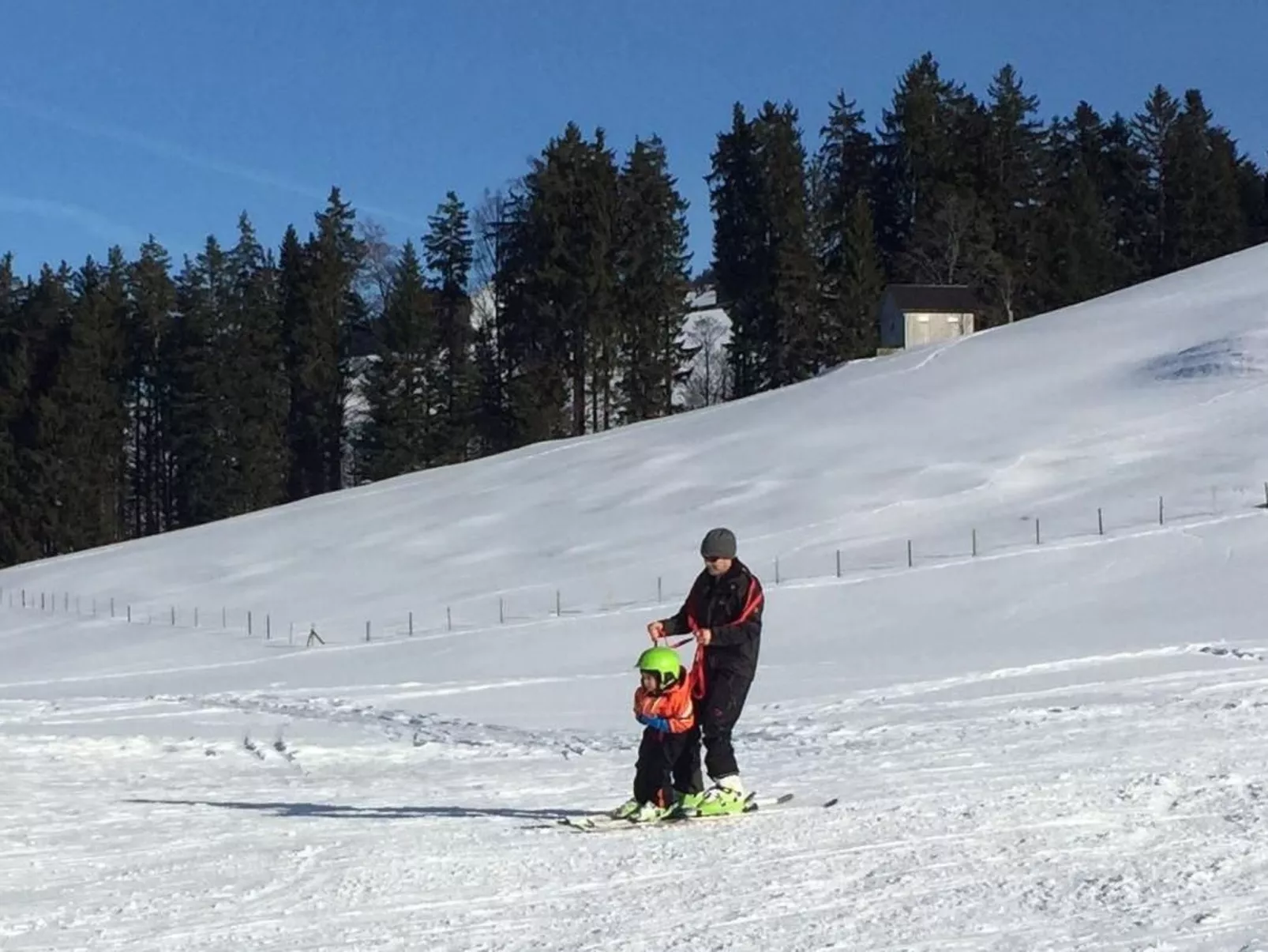 Alpakahof Ferien-Dehors