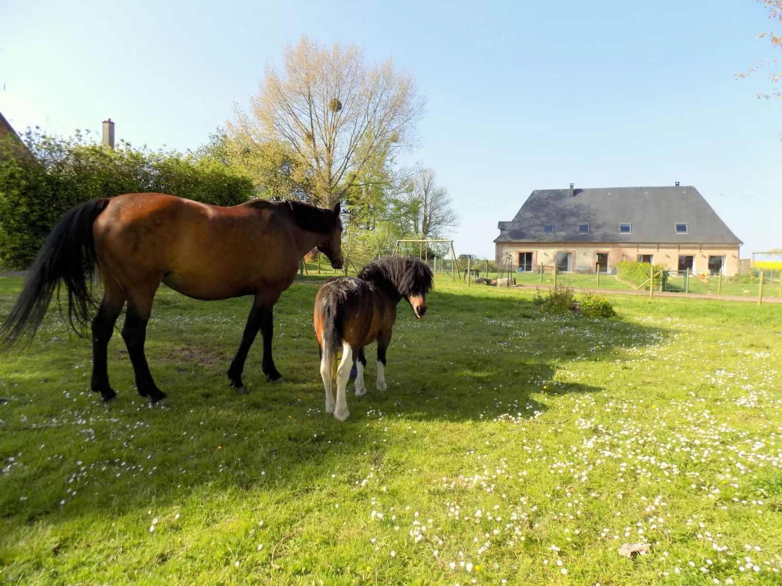 Für 8 Personen-Draußen