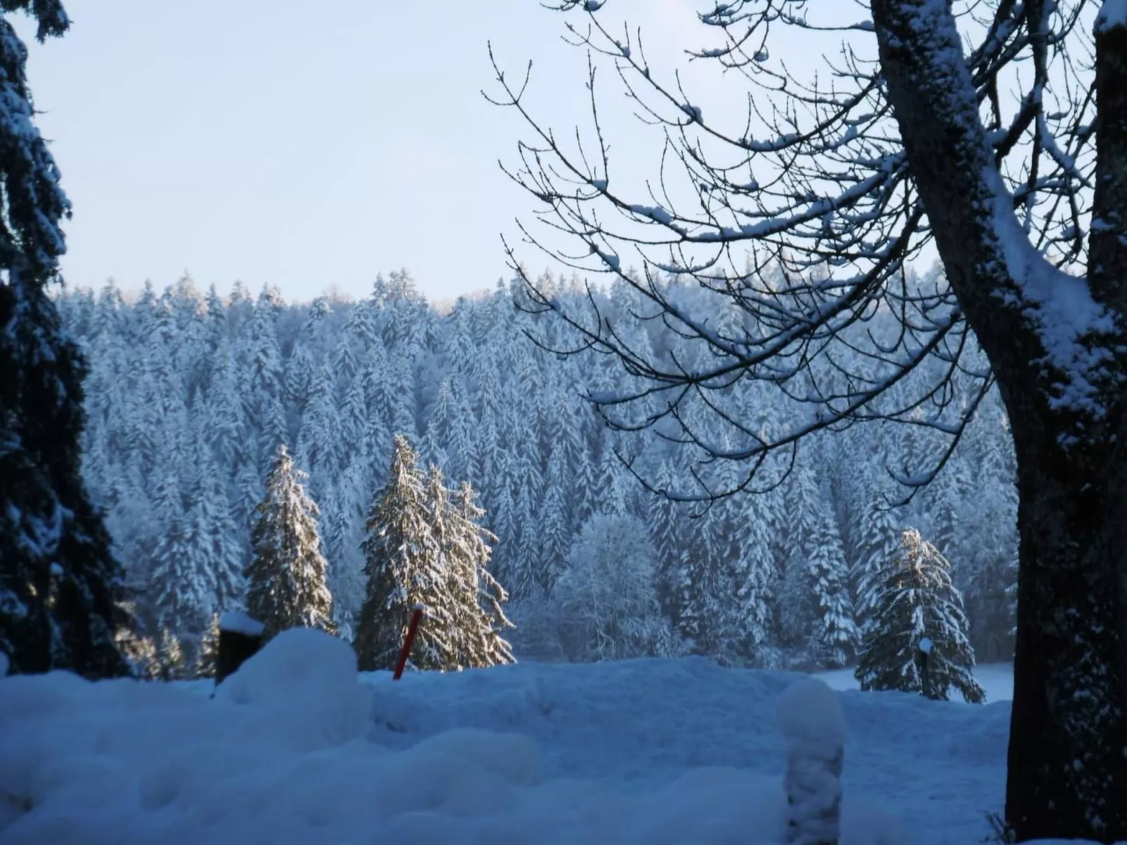 Chalet Désir, Lajoux-Image-tags.info