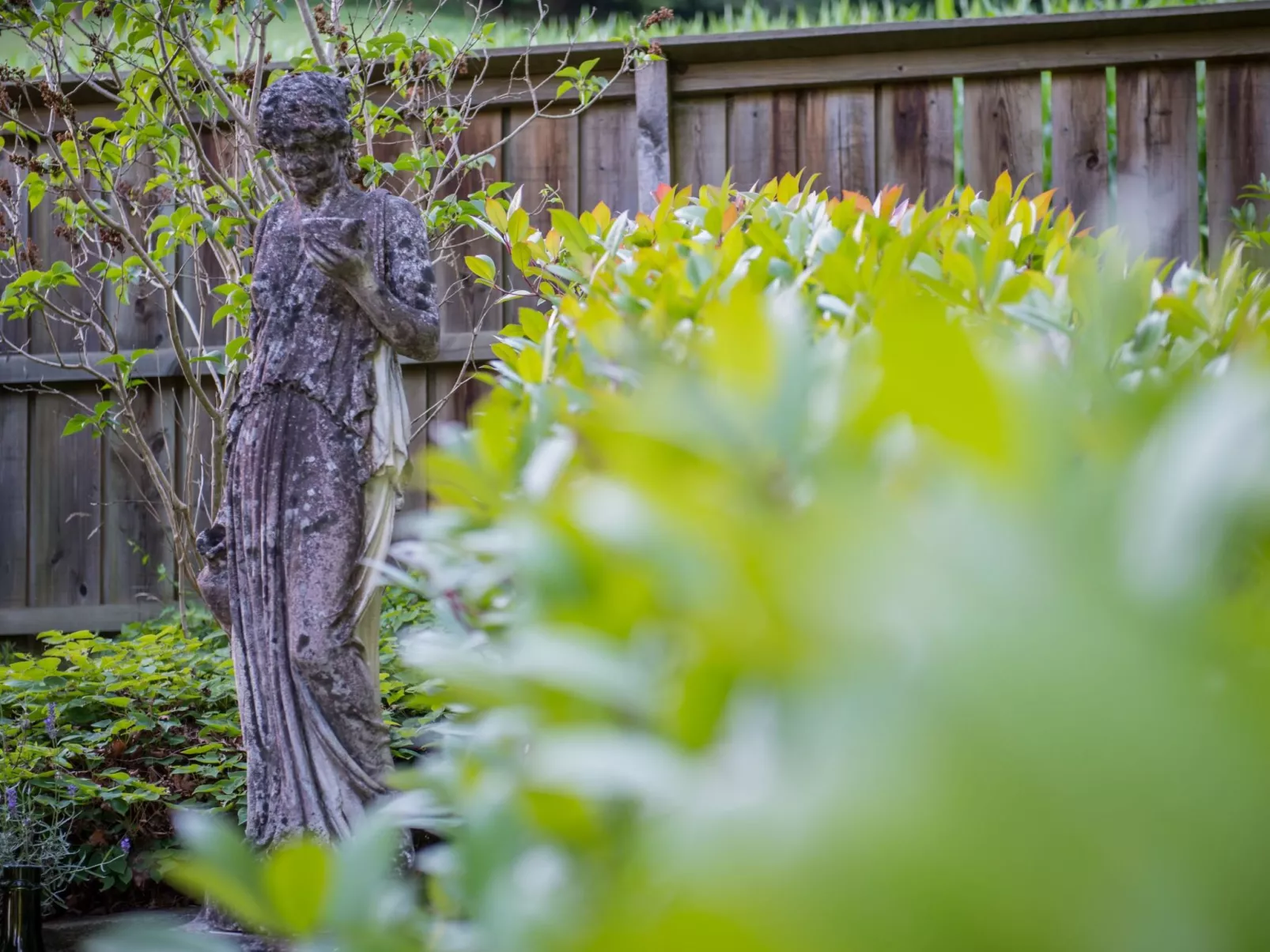 Spycher-Lodge-Dehors