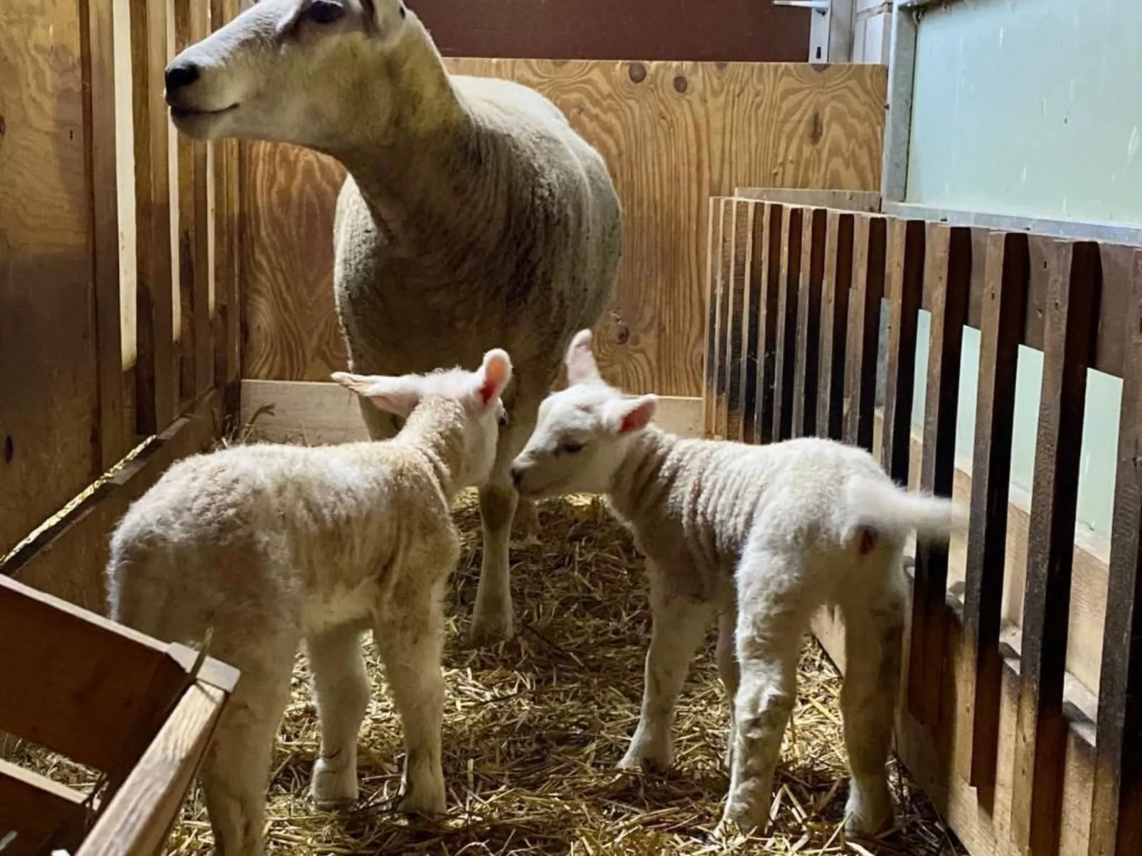 Ober-Tiefenbühl-Image-tags.info