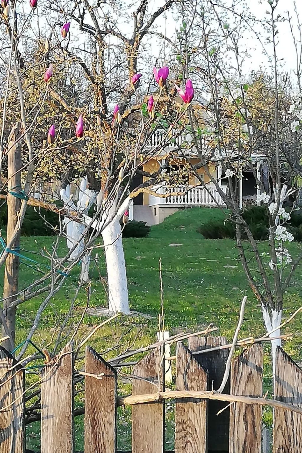 Hütte mit Garten, Grill und Terrasse-Outside