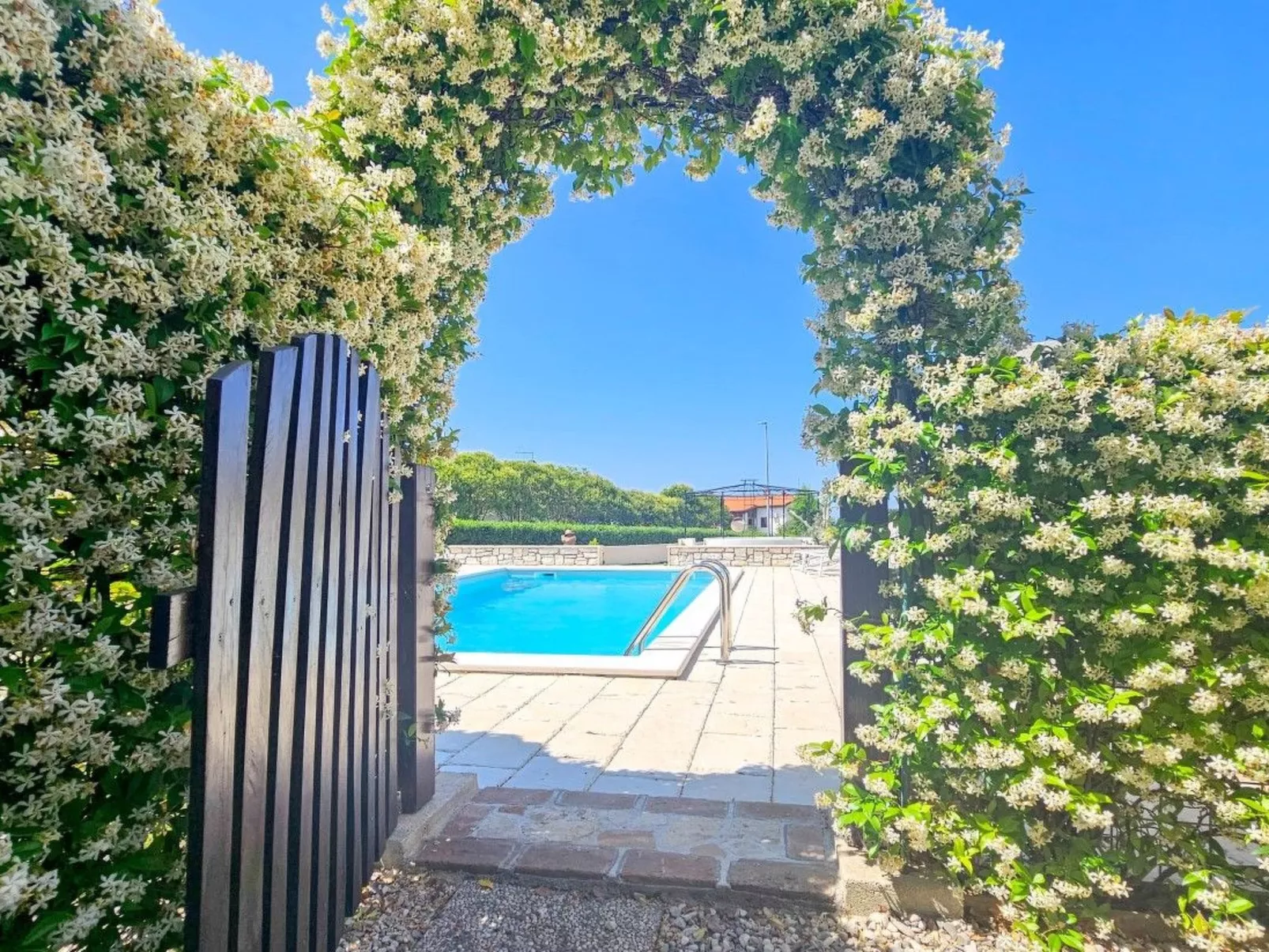 Mit Pool-Image-tags.info