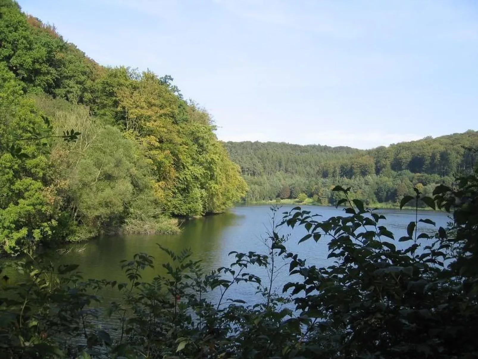 Exklusive Ferienwohnung mit Loggia am Waldrand-Draußen