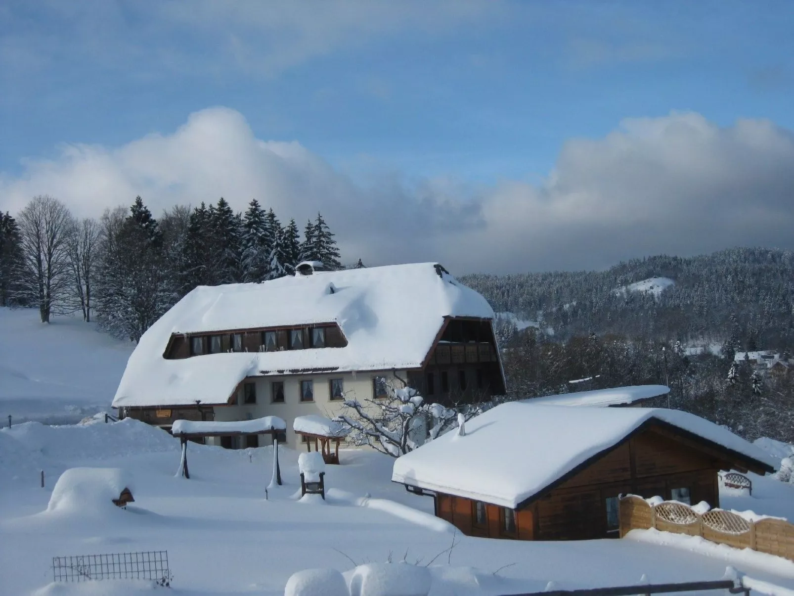 Appartement in Wittenschwand