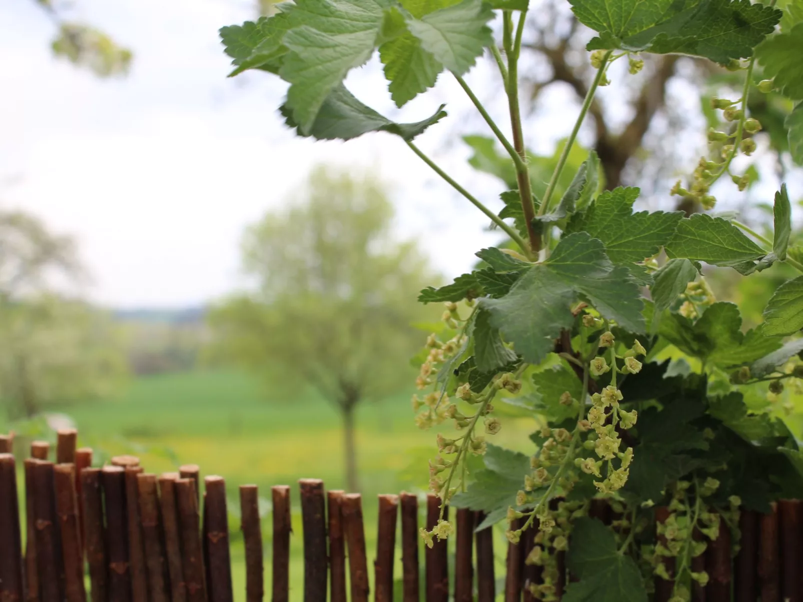 Fewo "Jut Stuff"-Draußen