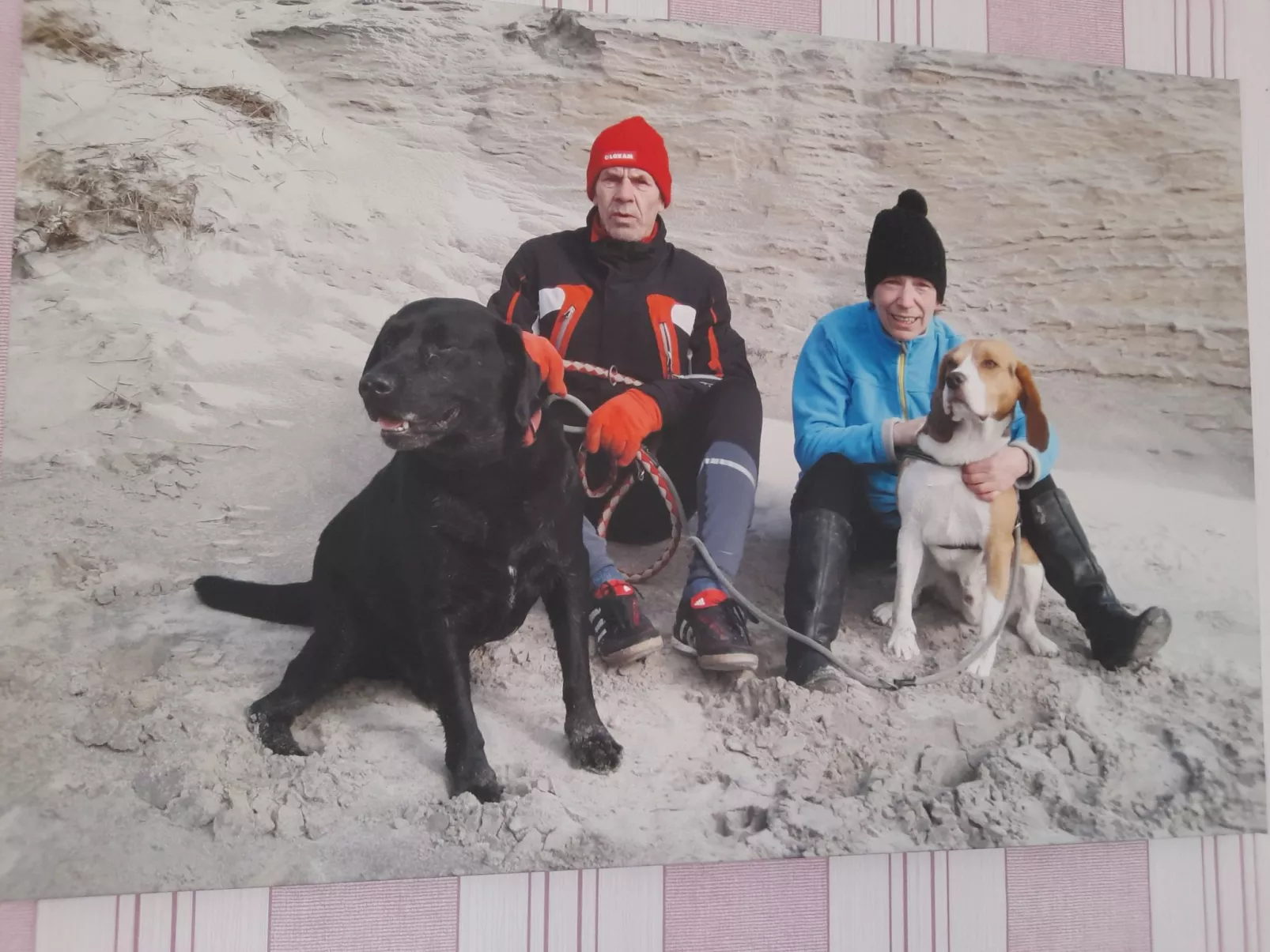 Harzhaus Schröder-Dehors