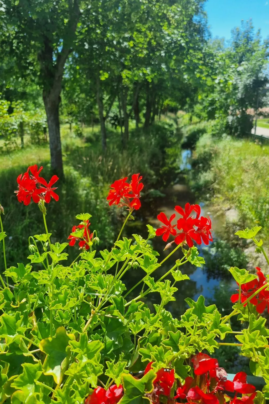 Familienfreundliche Wohnung im schönen Reisenberg