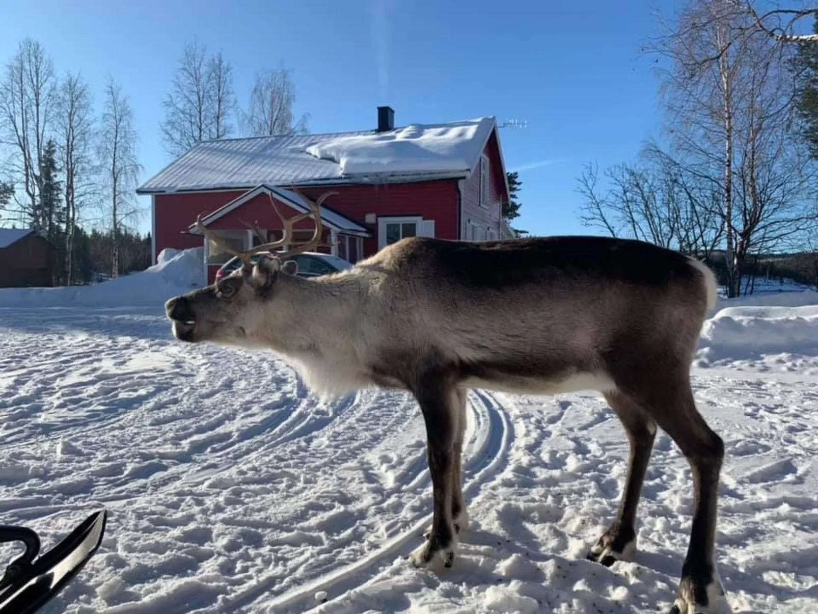 Zu vermieten in der Nähe von Jokkmokk