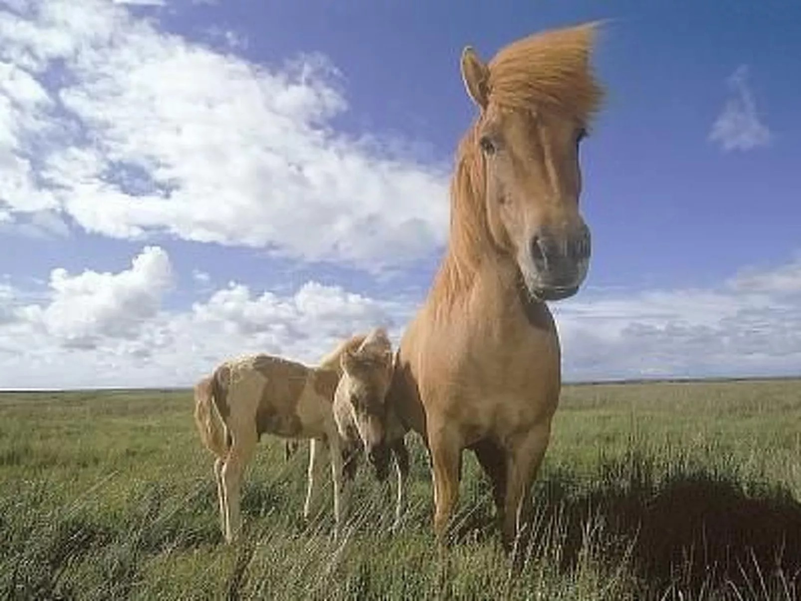 NO 1 in Island West. Best View Cottage.