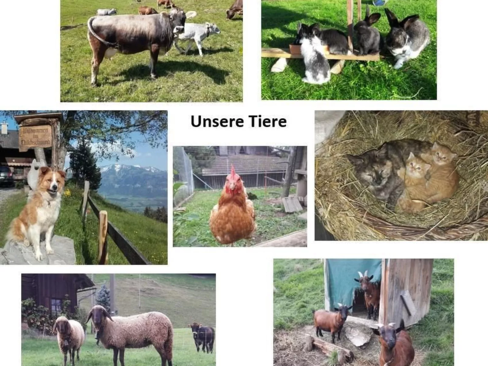 Alphütte Chilchschwand