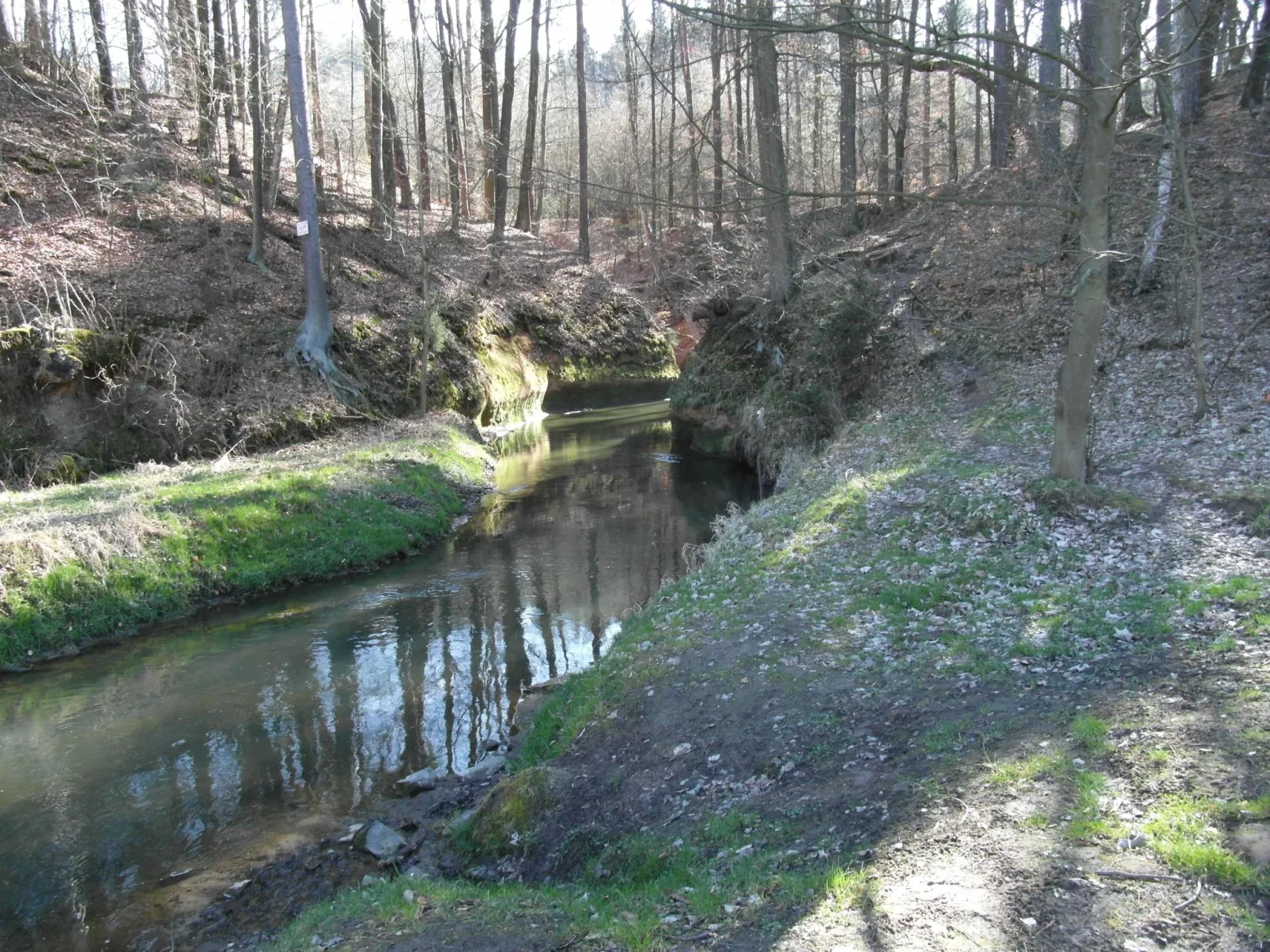 Traditionelles Haus, umgeben von Wäldern in Ralsko