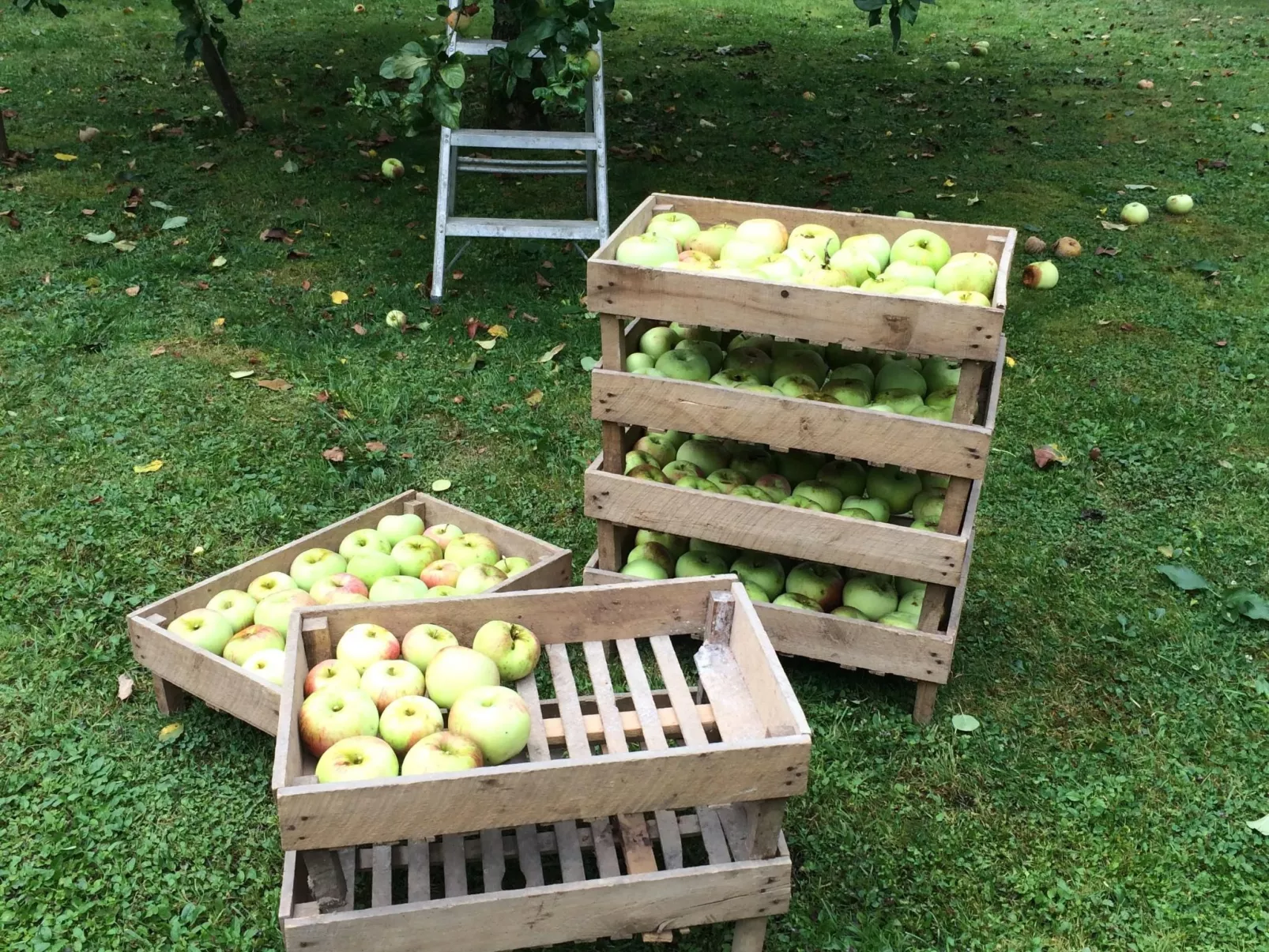 The Water Mill of Tourteron-Image-tags.info