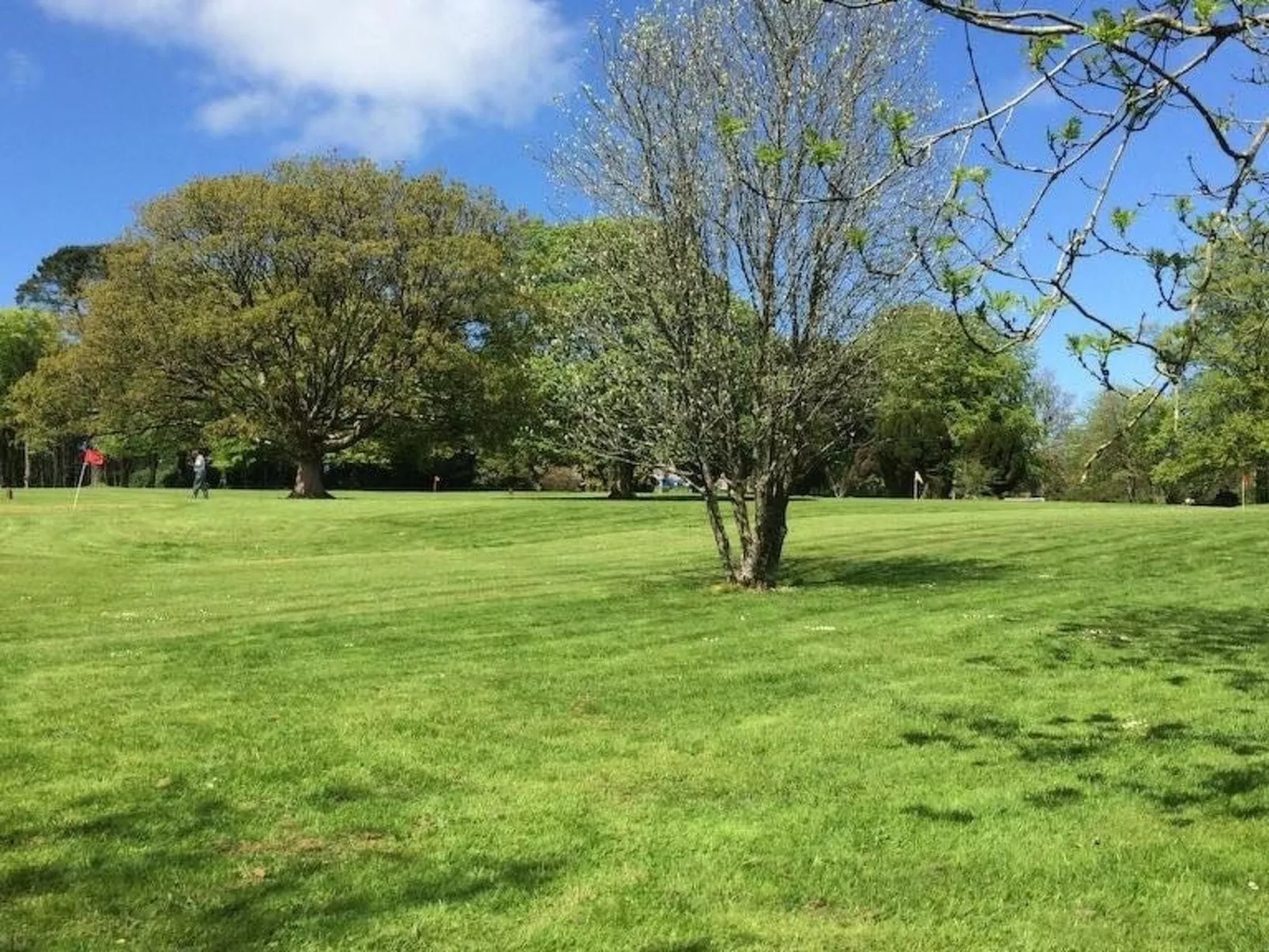 Schönes Haus in Saint Tudy mit privatem Parkplatz-Draußen
