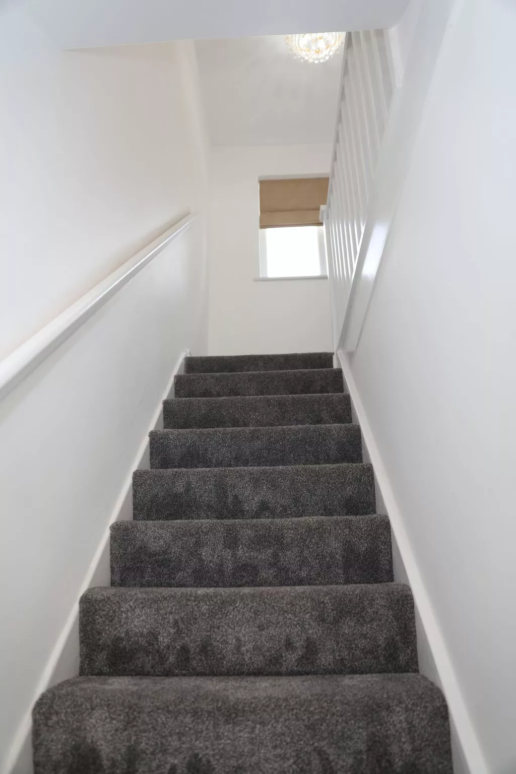 Wien Orpington-Dehors