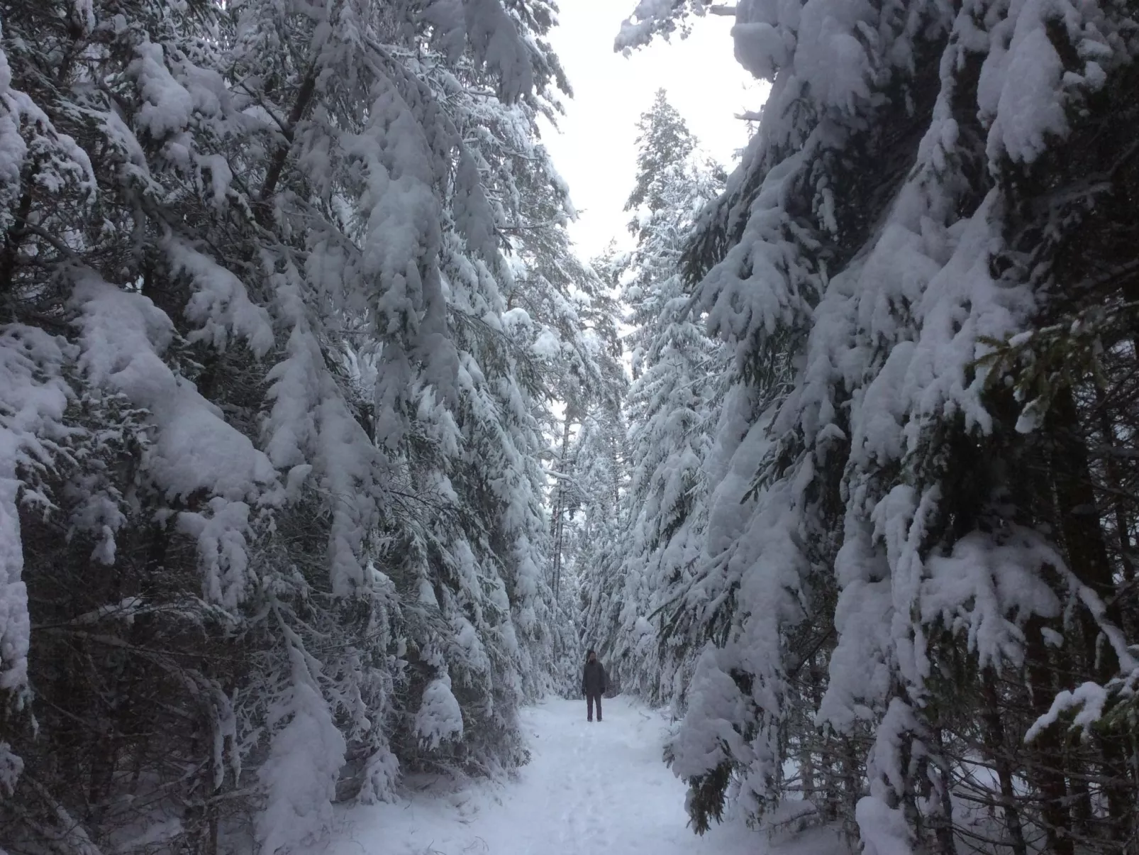 Finnisches Holzhaus-Image-tags.info