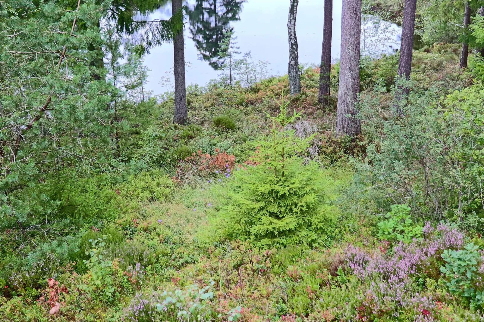 4 person holiday home in Fjärås-By Traum-Not tagged