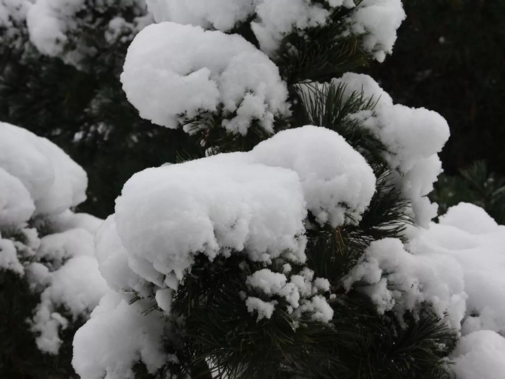 Mit Blick auf das Wasser-Dehors