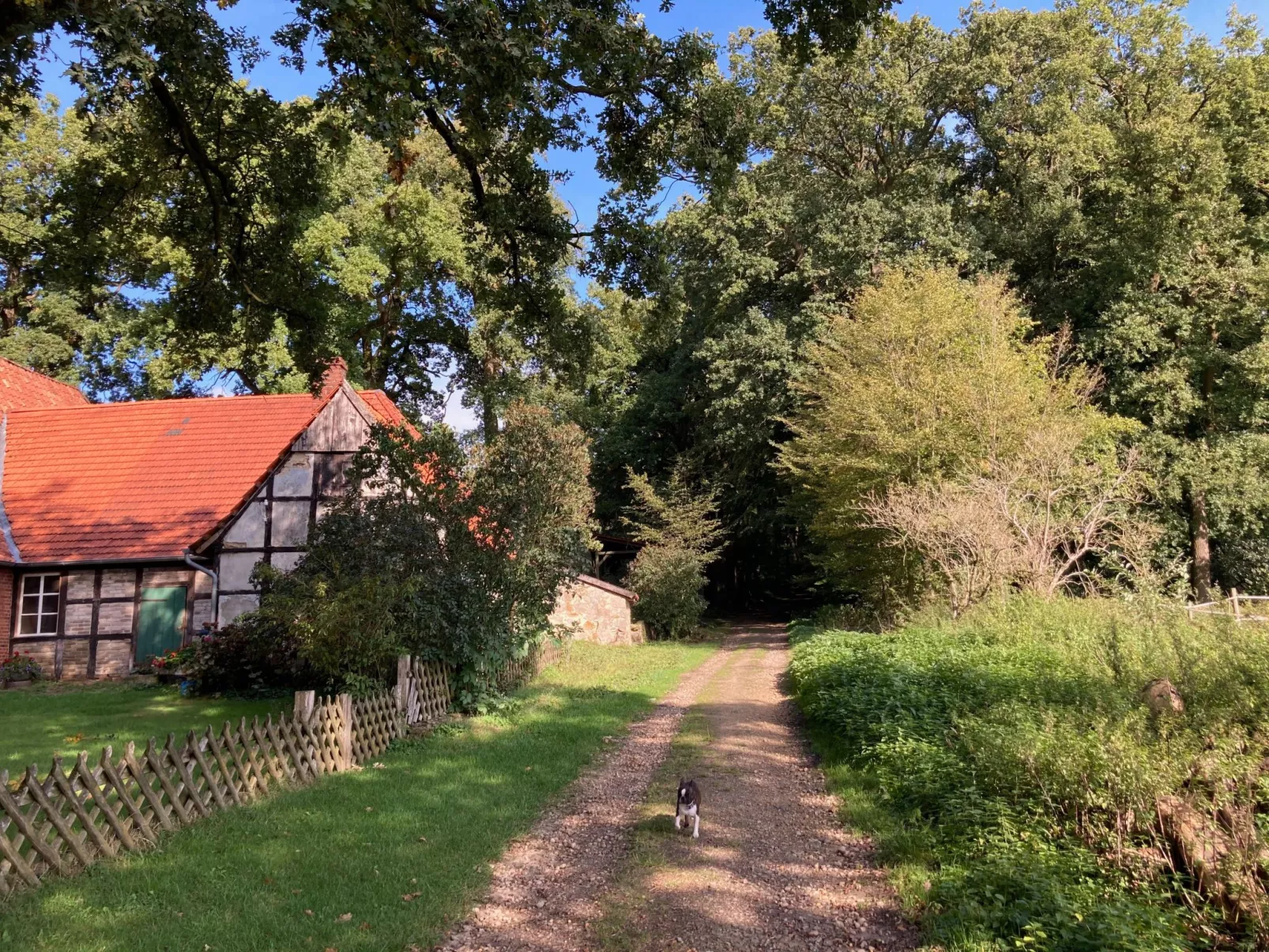 Schönes Ferienhaus in Brochterbeck mit Garten-Image-tags.info