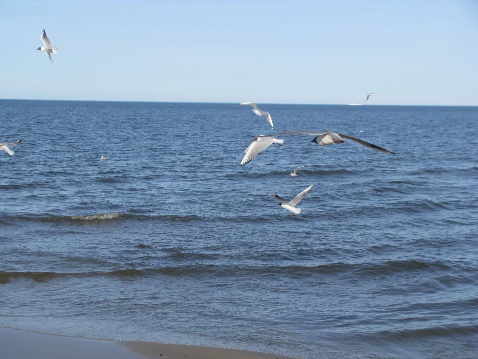 Moderne Ferienwohnung mitten in Greifswald