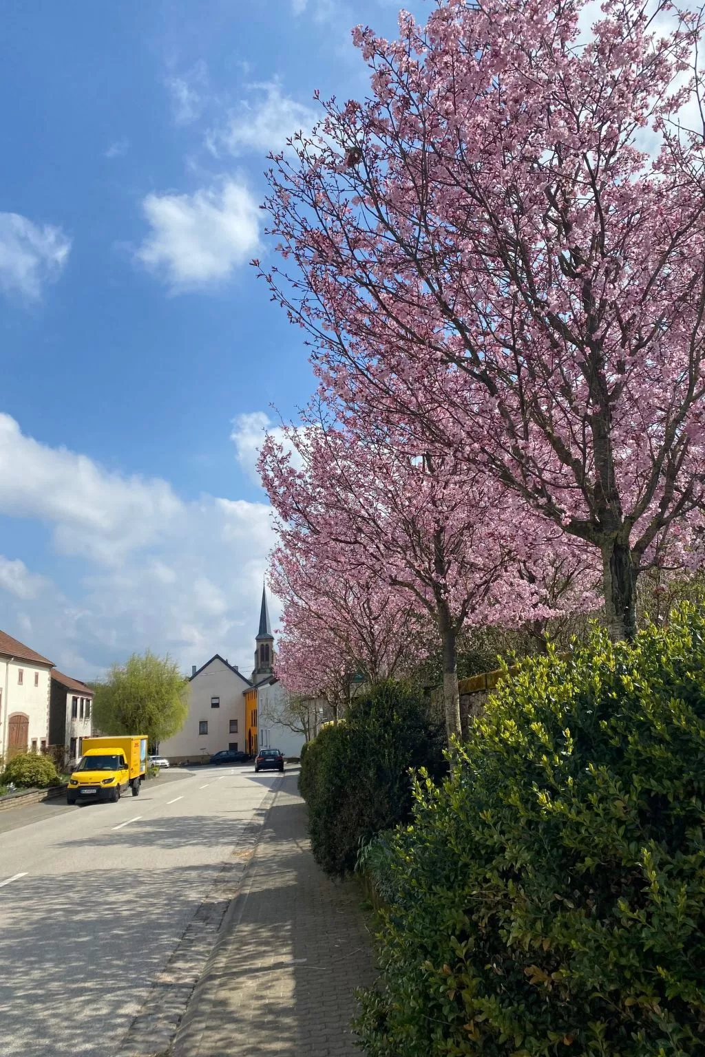 Appartement mit Balkon-Draußen
