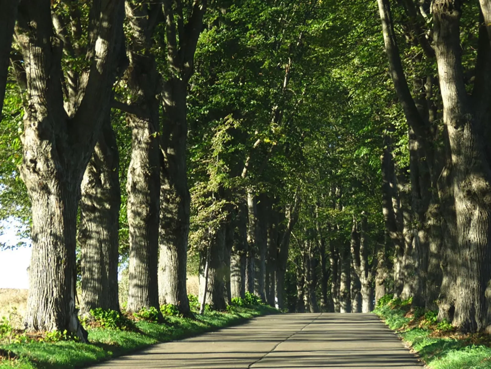 Haus am Wiek-Outside