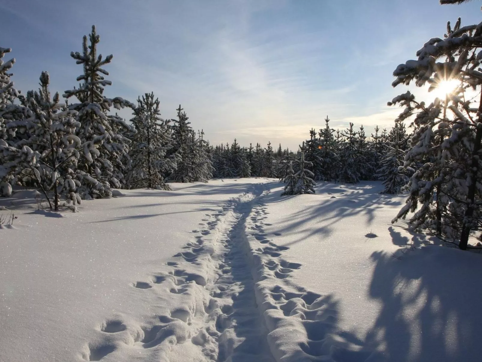 Charmantes Blockhaus, Sauna und Kamin-Outside