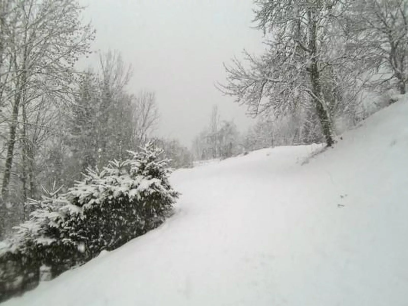 Flössersteighütte-Outside