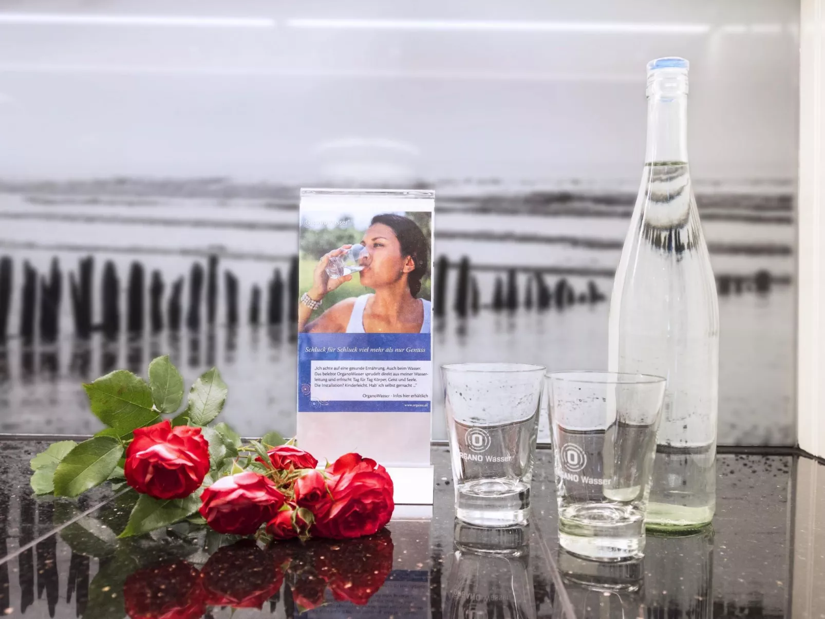 Maritime, moderne Ferienwohnung mit Gartensauna