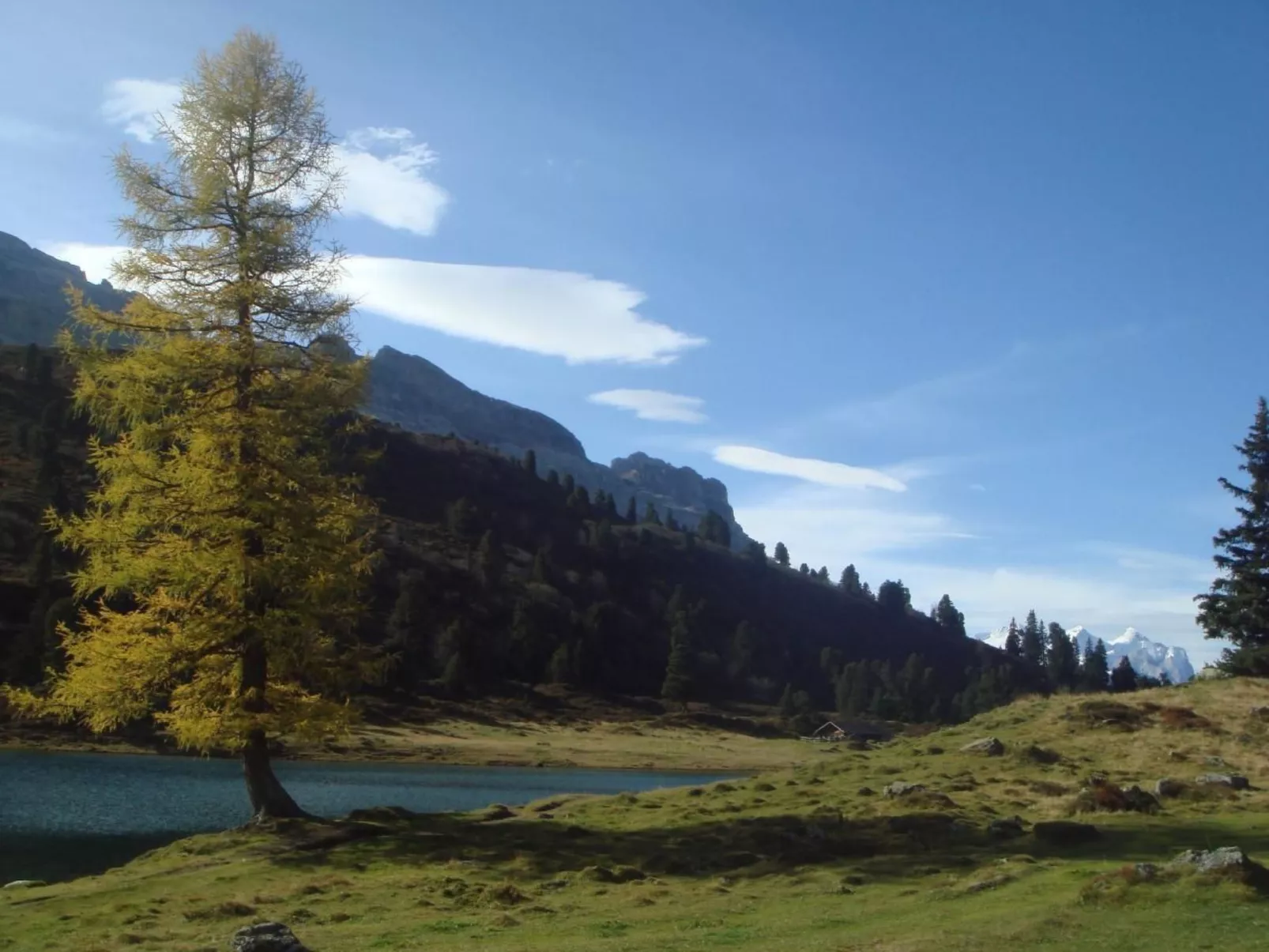 Alphütte Gental - Haslital-Draußen