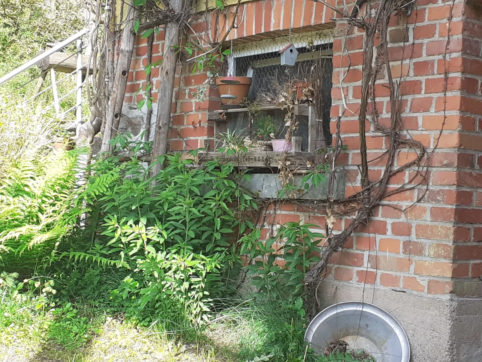 Für 6 Personen im Thüringer Wald-Draußen