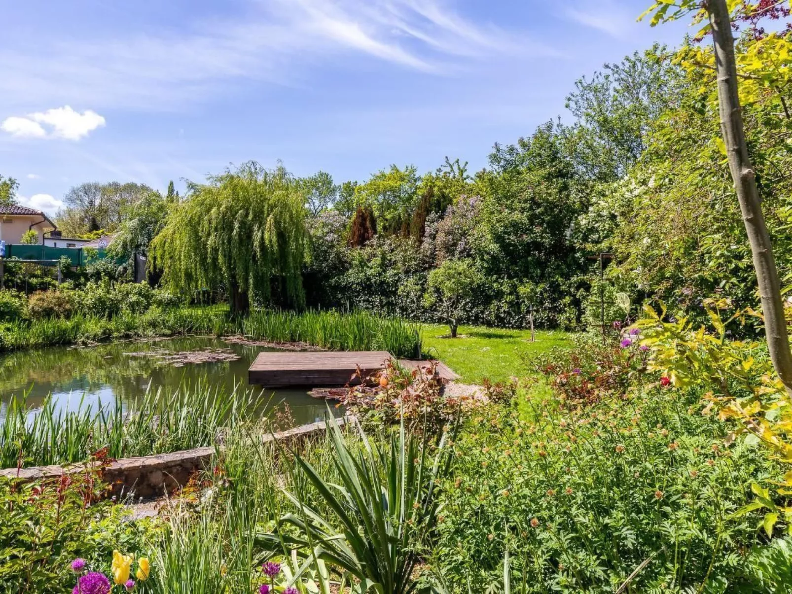 Teichblick in Klütz