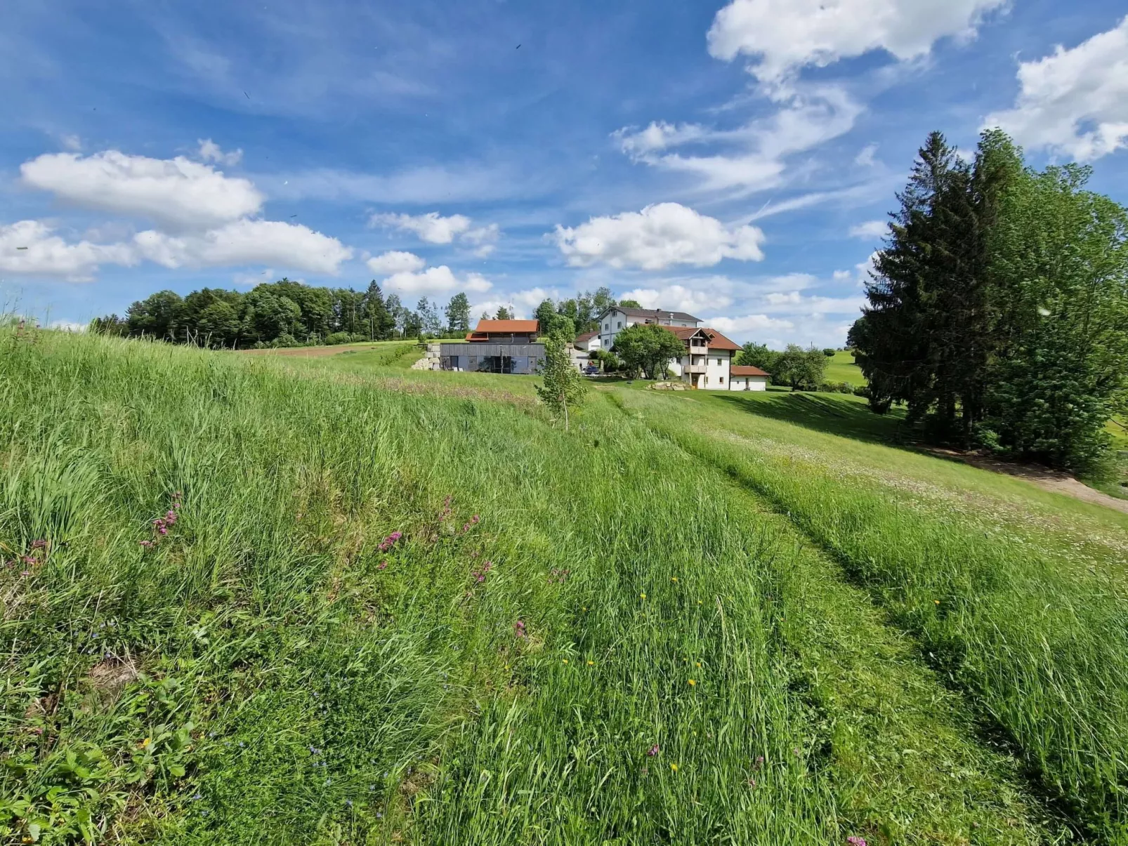 Hoizhaus am Badlberg-Outside