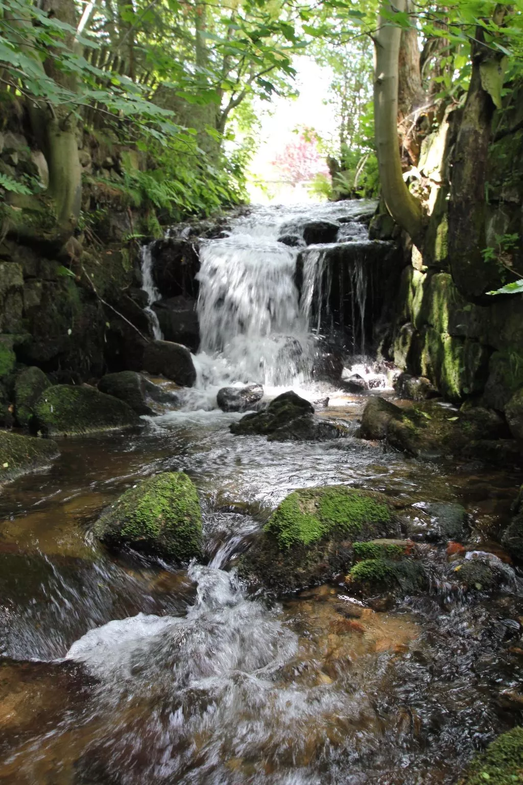 Landhaus mit gemeinschaftlichem Pool-Dehors