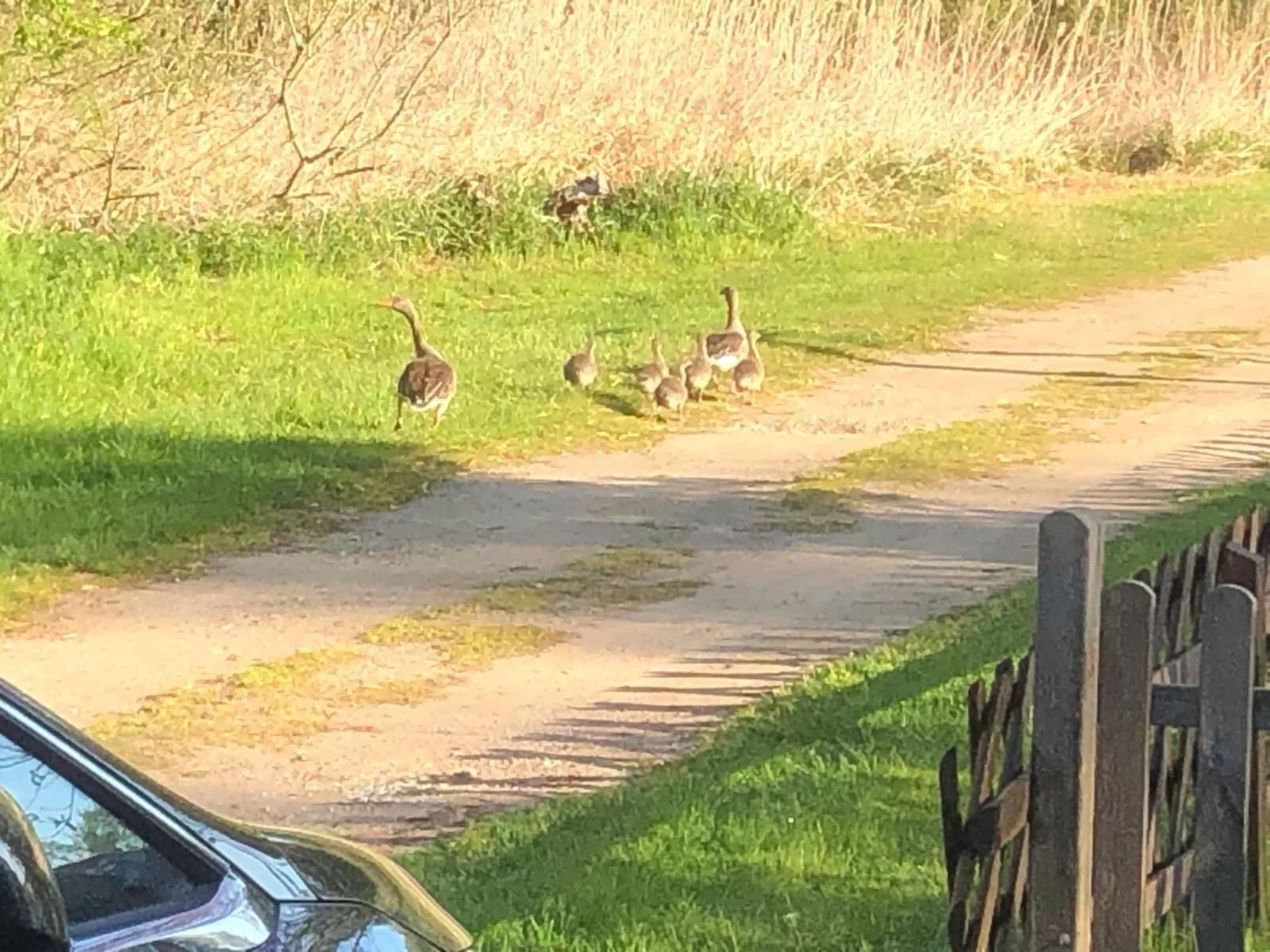 Mit Sauna und Kaminofen