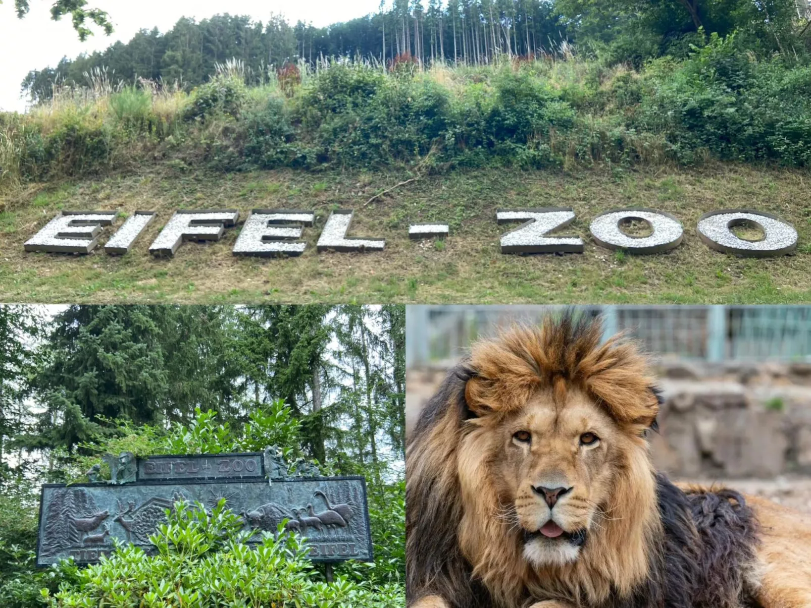 Zur alten Dorfschule